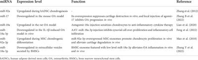 miR-17-92 cluster in osteoarthritis: Regulatory roles and clinical utility